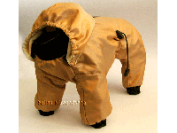 bitte darauf klicken